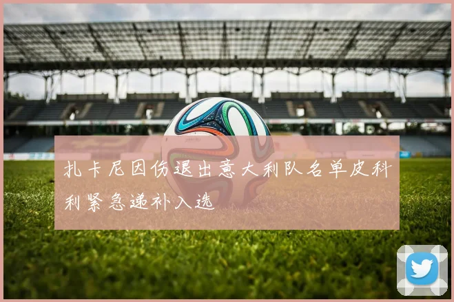 扎卡尼因伤退出意大利队名单皮科利紧急递补入选